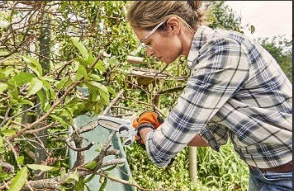 Stihl Accu Mini Kettingzaag SET - Snoeischaar - Snoeizaag - Hand Kettingzaag - Professioneel- Hovenier- Tuinman