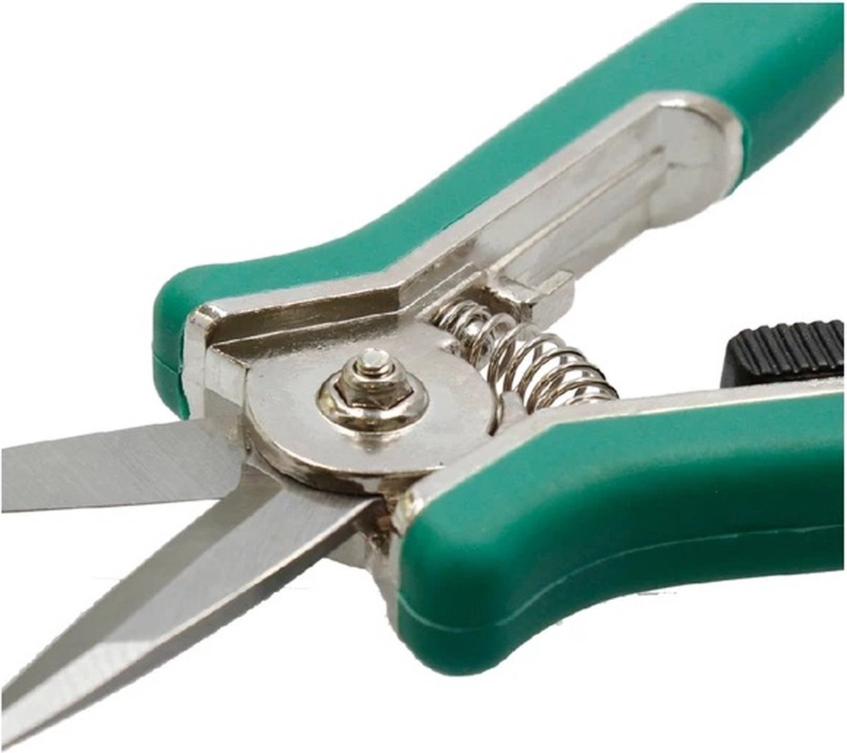  PD® - Snoeischaar Recht - Extra Scherp! - Bloemenschaar - 15 Cm