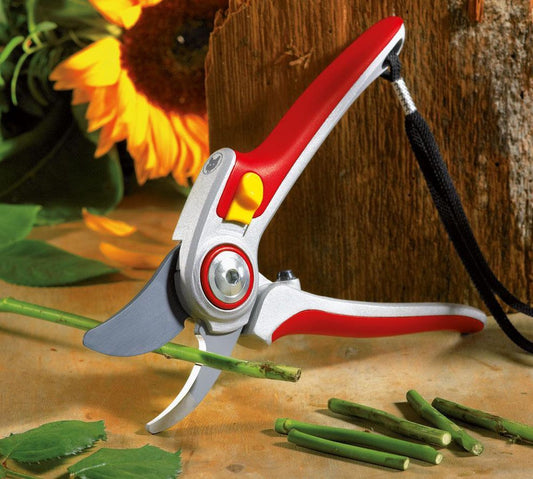  WOLF-Garten Snoeischaar "Professional" RR 5000 - Max. Knipdiameter 25 Mm - Links- En Rechtshandig - Snijhoek 30° - Vervangbare Messen