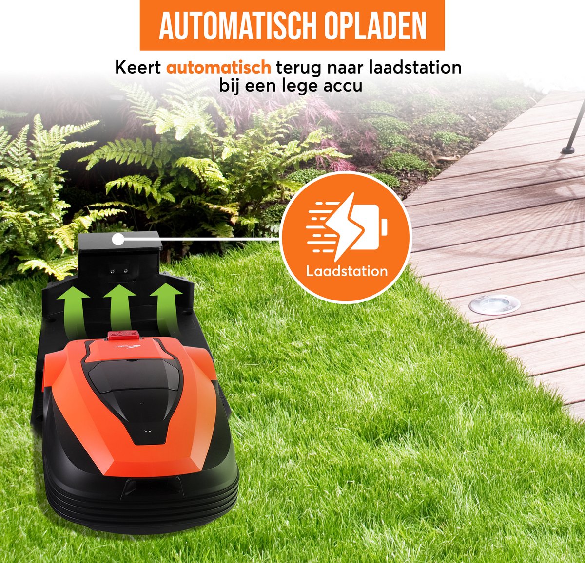  Zoef Robot Robotmaaier Dirk Met APP <600 M2