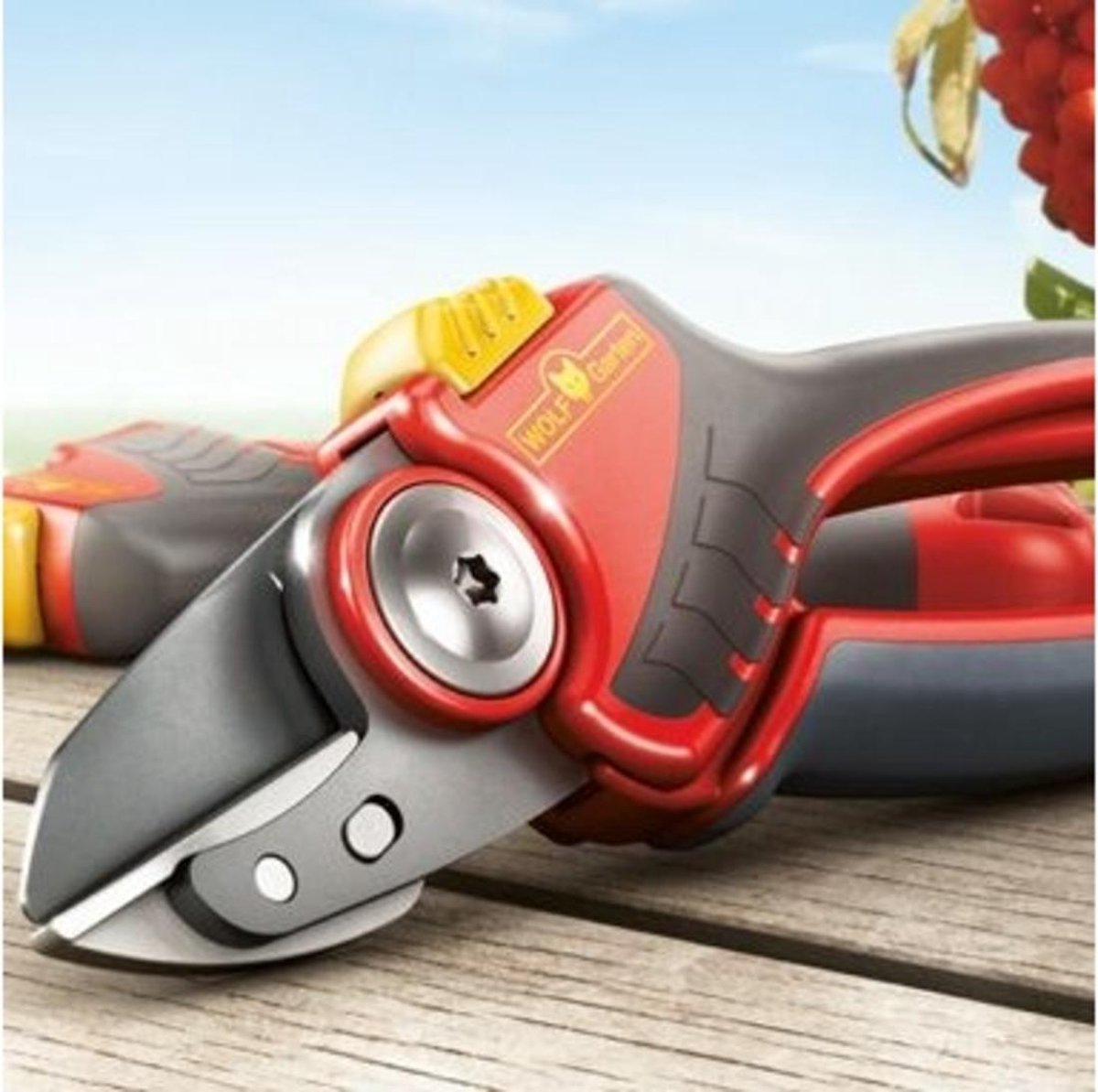  WOLF-Garten Snoeischaar "Premium Plus" RS 4000 - Aambeeld - Max. Knipdiameter 25 Mm - Links- En Rechtshandige - Softinleg Handgreep - Snijhoek 30° - Voor Grote Handen - Vervangbare Messen En Aambeeld