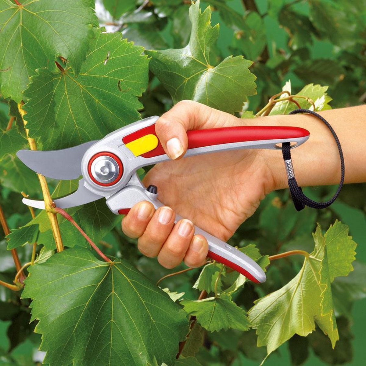 WOLF-Garten Snoeischaar "Professional" RR 5000 - Max. Knipdiameter 25 Mm - Links- En Rechtshandig - Snijhoek 30° - Vervangbare Messen