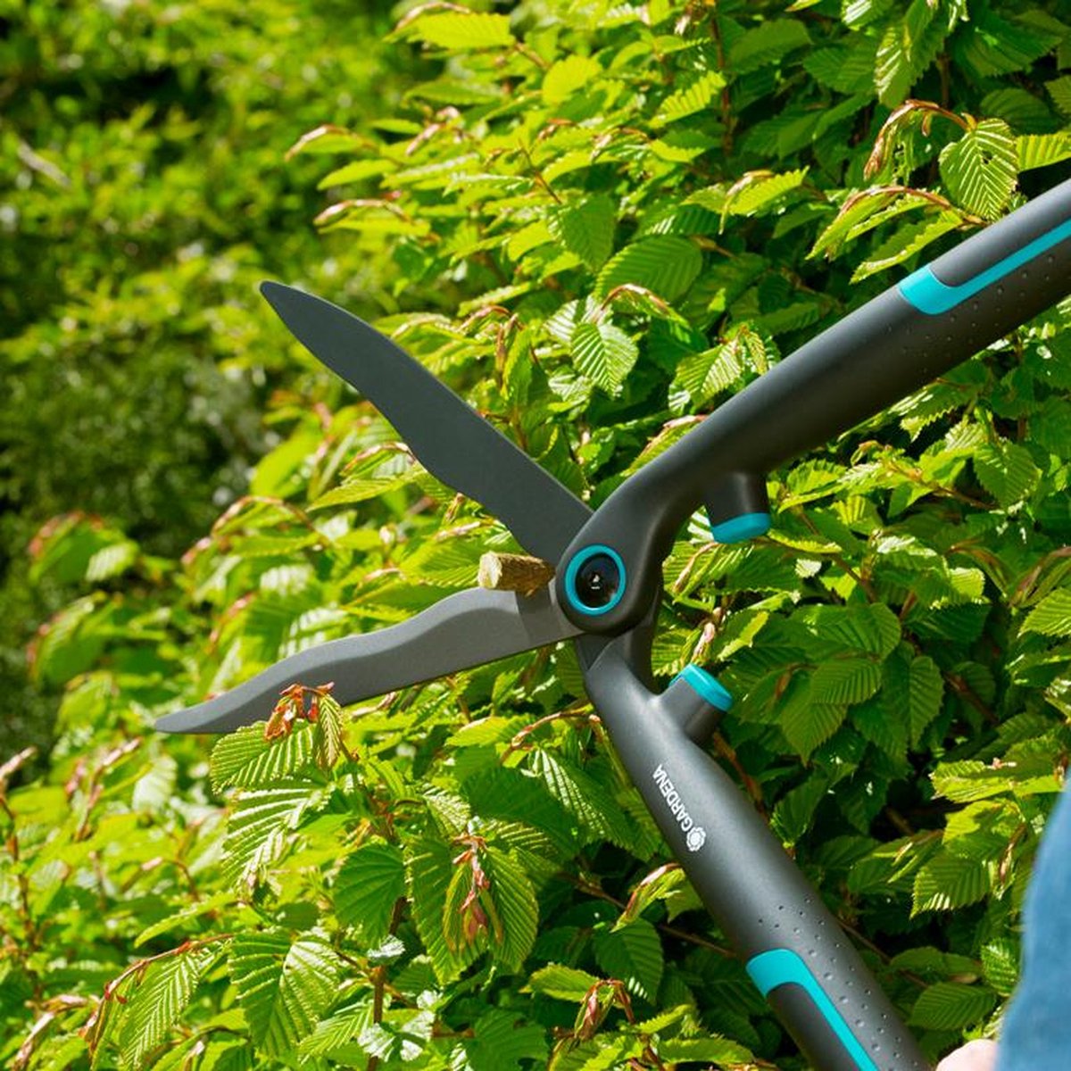  GARDENA - EasyCut - Heggenschaar - Extra Licht Van Gewicht