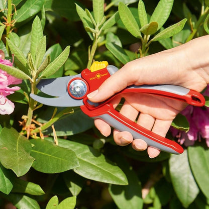  WOLF-Garten Snoeischaar "Premium Plus" RR 4000 - Max. Knipdiameter 22 Mm - Links- En Rechtshandige - Softinleg Handgreep - Snijhoek 30° - Voor Grote Handen - Vervangbare Messen
