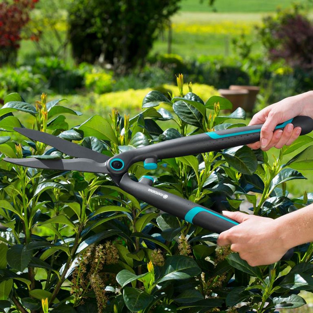  GARDENA - EasyCut - Heggenschaar - Extra Licht Van Gewicht