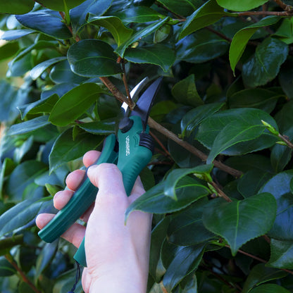  VONROC Snoeischaar Met Papegaaienbek – Antikleefcoating - Voor Bloemen En Jonge Scheuten Tot Ø15mm