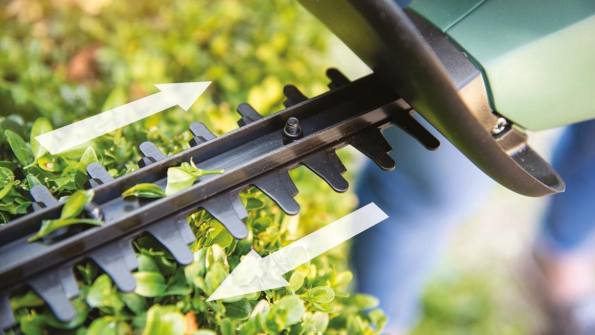  Bosch EasyHedgeCut 18-45 Heggenschaar - Zonder 18 V Accu En Lader