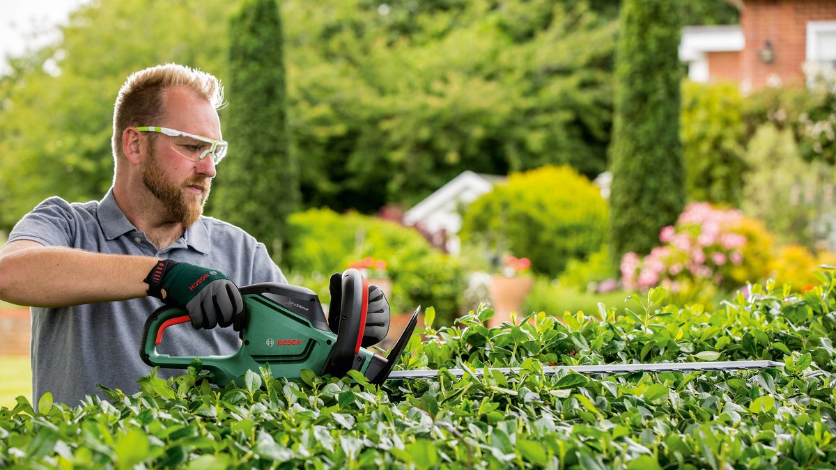  Bosch UniversalHedgeCut 60 Heggenschaar - Op Snoer - Lengte 60 Cm