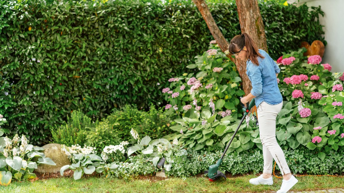  Bosch EasyGrassCut 18V-26 Grastrimmer - Zonder Accu En Lader