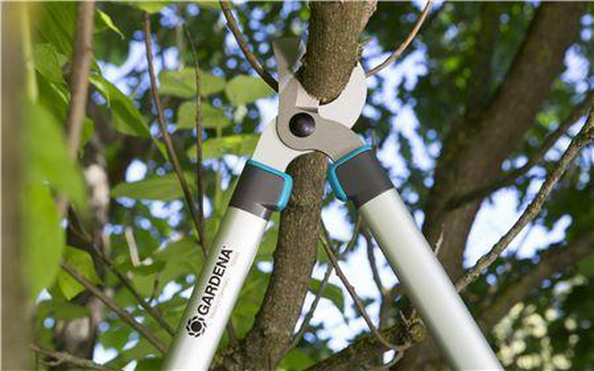  Gardena EasyCut Takkenschaar 68B + Classic Snoeischaar 8754 Display 1stuk 12003-30