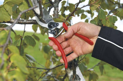  Felco 2 Snoeischaar - Rechtshandig - Max. Knipdiameter 25 Mm - Lengte 215 Mm