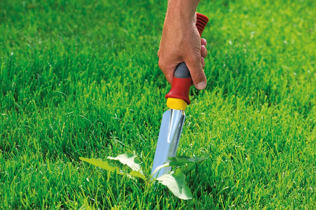 WOLF-Garten Onkruidsteker KS-2K - Softgrip - Handgereedschap