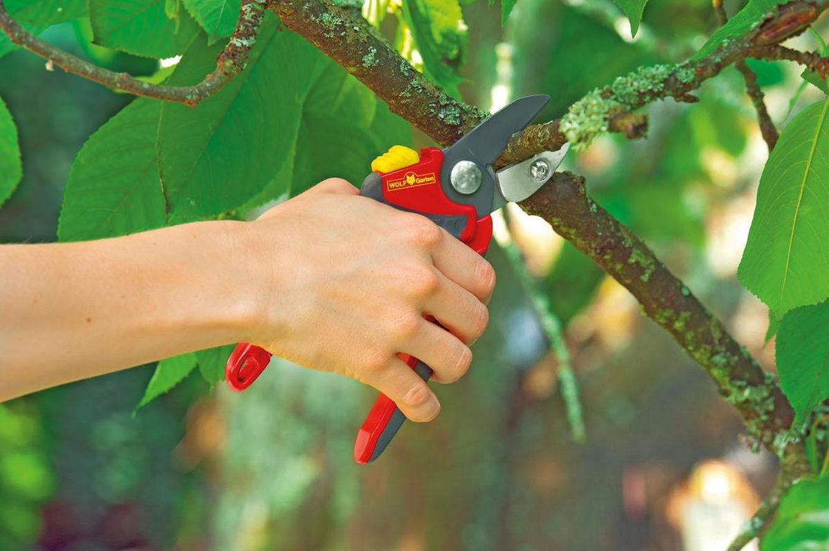  WOLF-Garten Snoeischaar "Premium Plus" RS 4000 - Aambeeld - Max. Knipdiameter 25 Mm - Links- En Rechtshandige - Softinleg Handgreep - Snijhoek 30° - Voor Grote Handen - Vervangbare Messen En Aambeeld