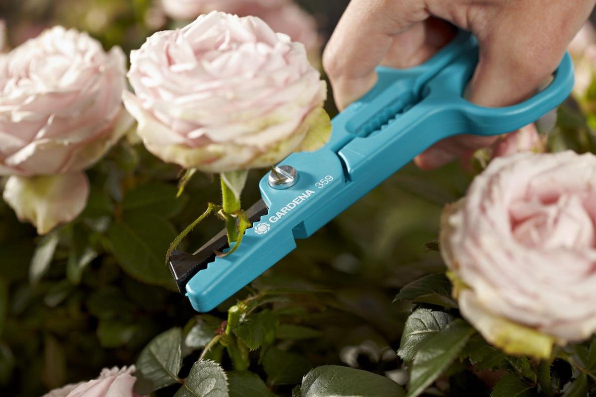  GARDENA Multifunctionele Bloemenschaar Snoeischaar - Lengte 210 Mm - RVS Messen