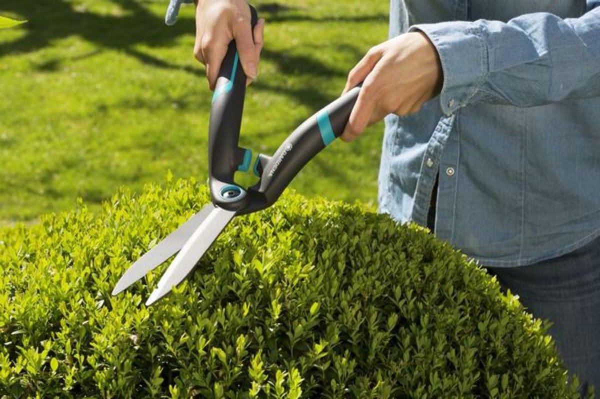  GARDENA PrecisionCut Buxusschaar - Meslengte 18 Cm - Vormsnoeien