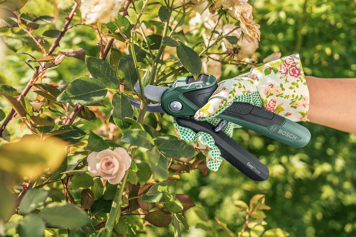  Bosch EasyPrune Accu Snoeischaar - 3.6 V Accu - USB