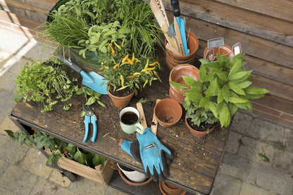  GARDENA - City Gardening - Onkruidsteker