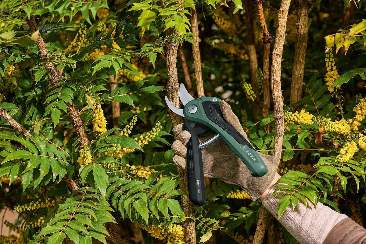  Bosch EasyPrune Accu Snoeischaar - 3.6 V Accu - USB