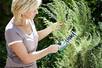  Bosch ISIO Gen III Accu Buxusschaar + Grasschaar