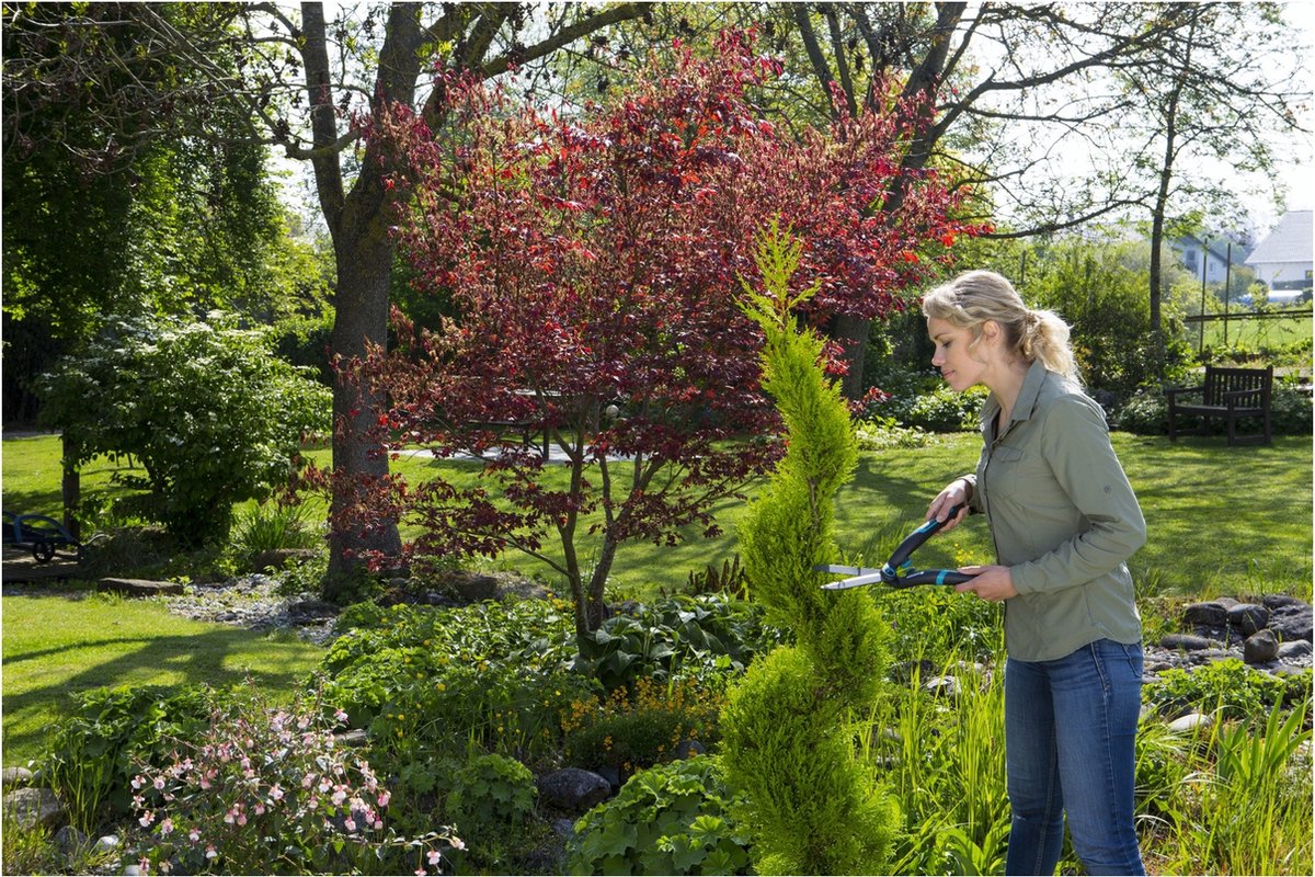  GARDENA PrecisionCut Buxusschaar - Meslengte 18 Cm - Vormsnoeien