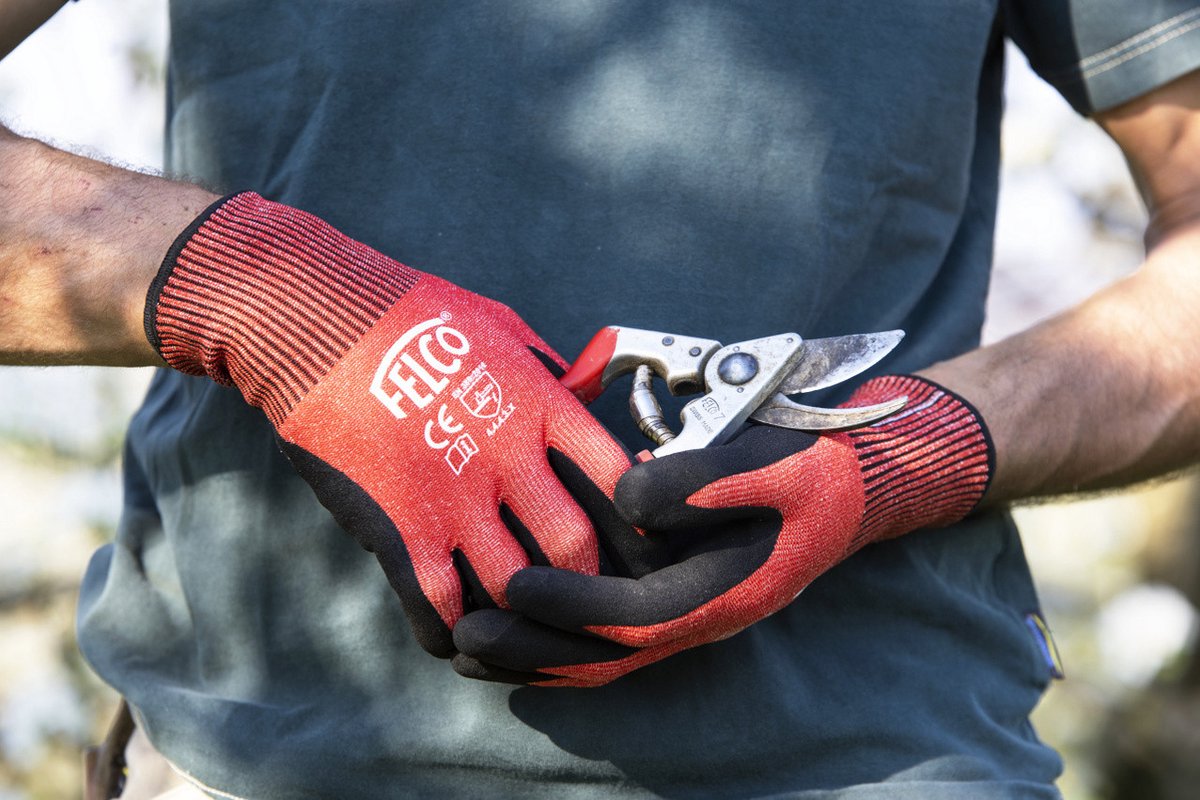  Felco 2 + GRATIS Felco Handschoenen In Cadeauverpakking