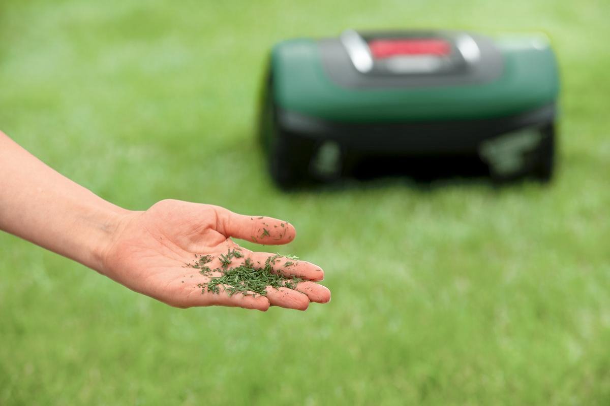  Bosch Indego S+ 500 Robotmaaier - Voor Gazons Tot 500 M2 - Incl. Laadstation En Accessoires - Connected