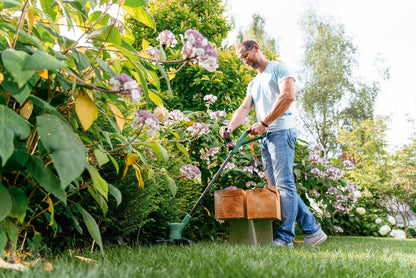  Bosch EasyGrassCut 23 Grastrimmer - Op Snoer - 230 V - Snijbreedte 23 Cm