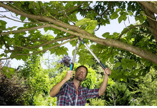  Gardena EasyCut Takkenschaar 68B + Classic Snoeischaar 8754 Display 1stuk 12003-30