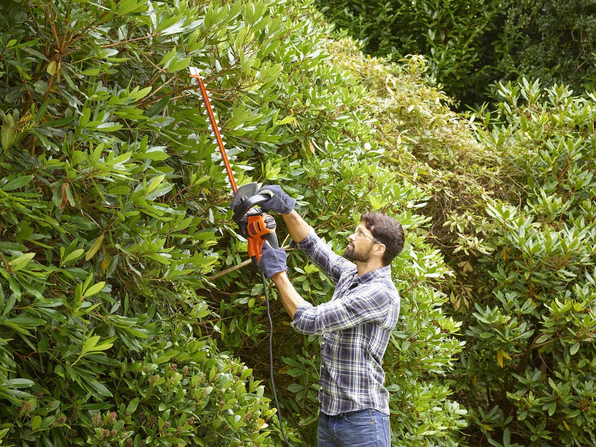 Black & Decker BLACK+DECKER BEHTS451-QS Heggenschaar - 550W - 60cm - Gesnoerd