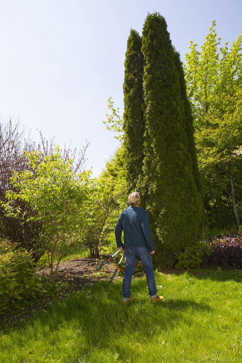  GARDENA TeleCut Heggenschaar - Telescopische Handgrepen Van 70-90 Cm