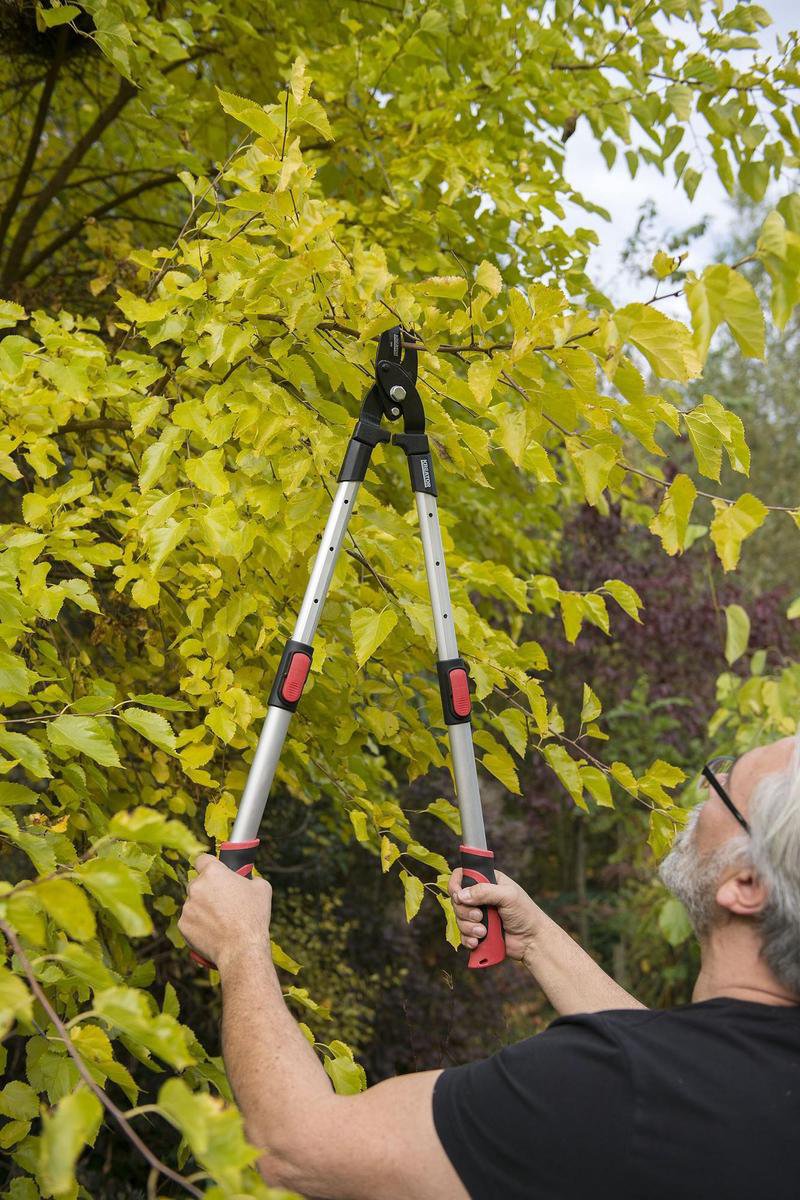  Kreator KRTGR4013 Telescopische Takkenschaar - 63-89 Cm Totale Lengte - . Ø39 Mm Knipdiameter