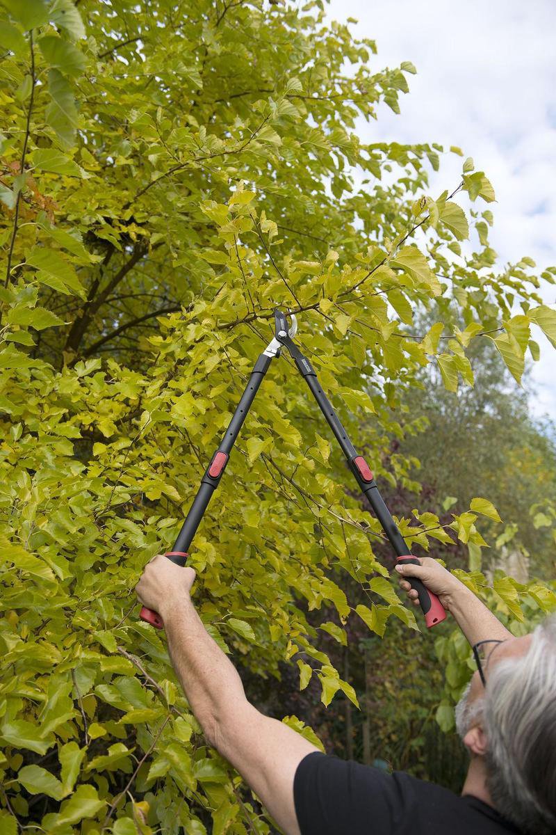  Kreator KRTGR4003 Telescopische Takkenschaar – Jong Hout - Knipdiameter: Ø34 Mm