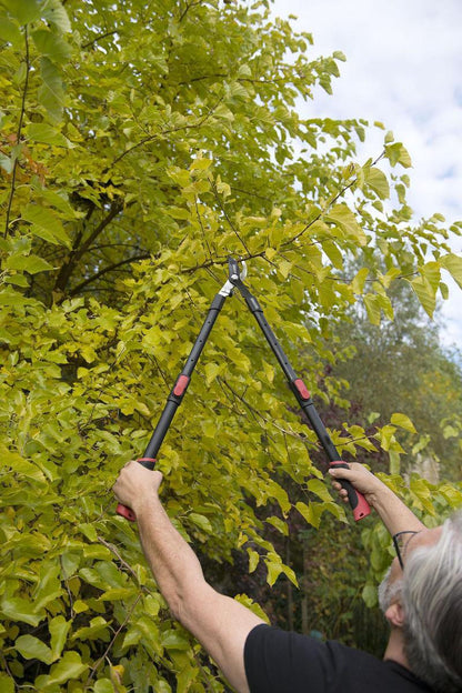  Kreator KRTGR4003 Telescopische Takkenschaar – Jong Hout - Knipdiameter: Ø34 Mm