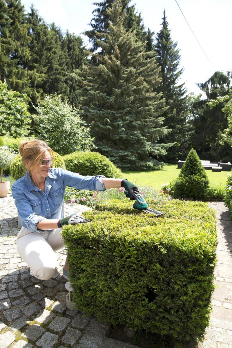  Bosch ISIO Gen III Accu Buxusschaar + Grasschaar
