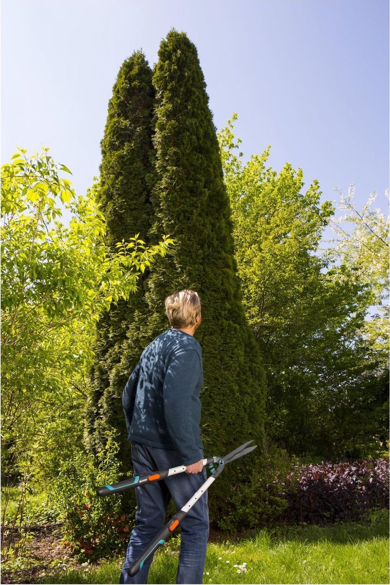  GARDENA TeleCut Heggenschaar - Telescopische Handgrepen Van 70-90 Cm