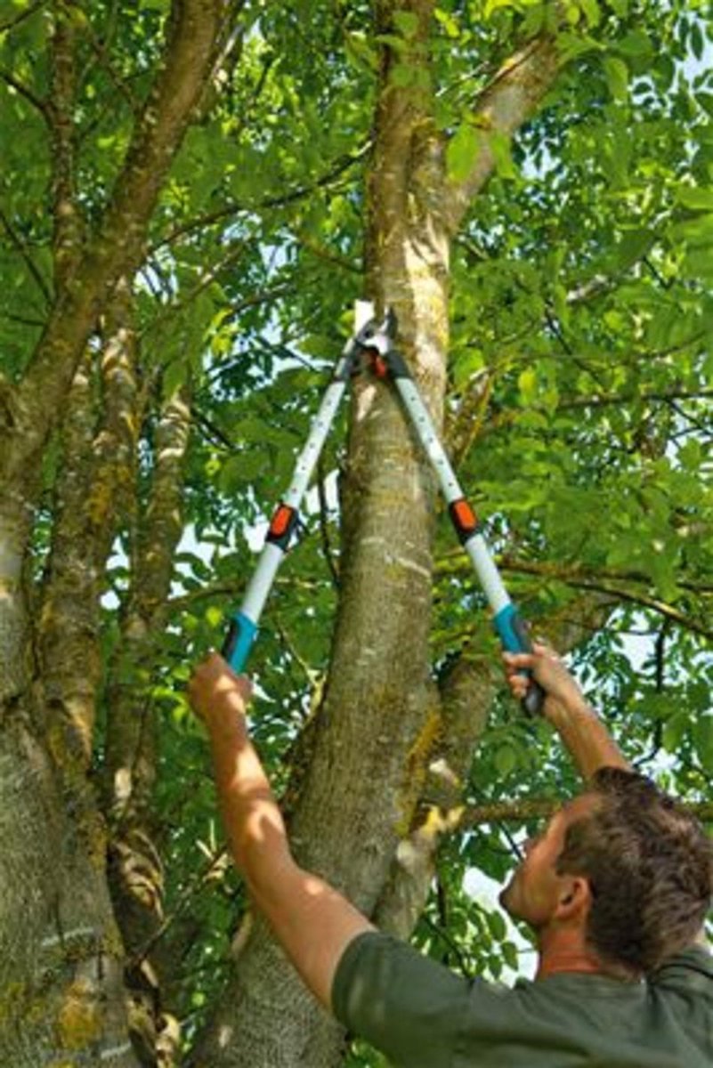  Gardena TeleCut Takkenschaar 650-900 B - Uitschuifbare Armen - Tot Max 90 Cm